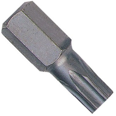 Torx uzgalis